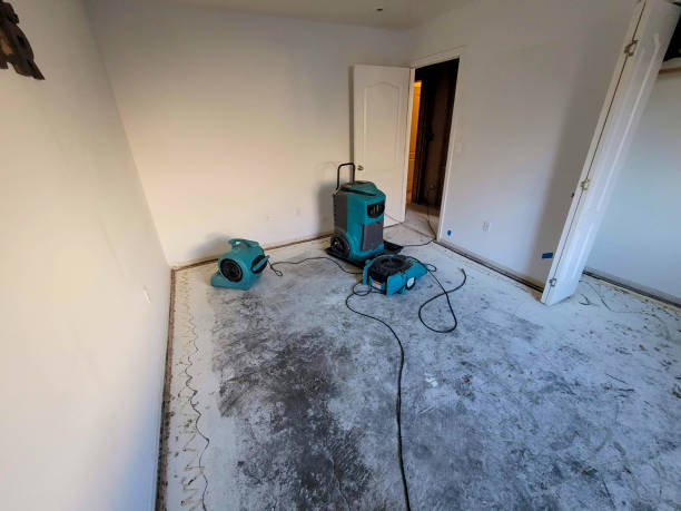 Best Sewage cleanup and water damage restoration  in Princeville, HI