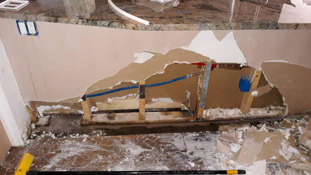 Best Basement water damage restoration  in Princeville, HI
