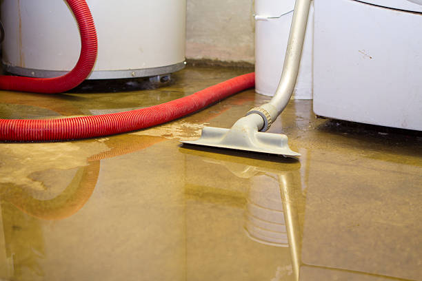 Best Residential water damage restoration  in Princeville, HI