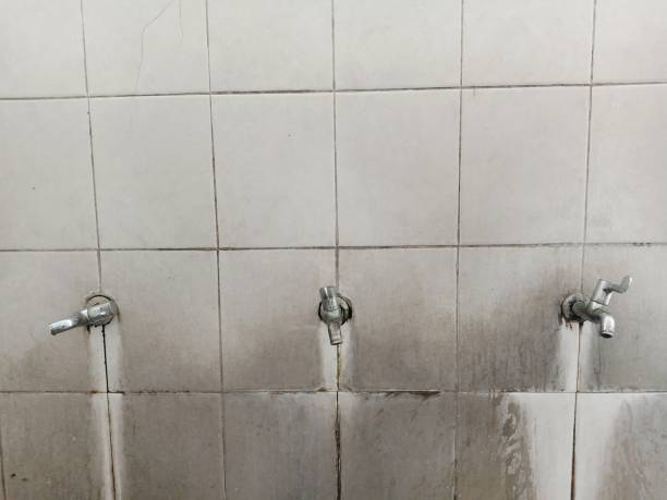  Princeville, HI Water damage restoration Pros