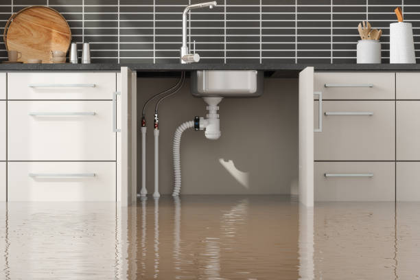 Carpet water damage restoration in HI
